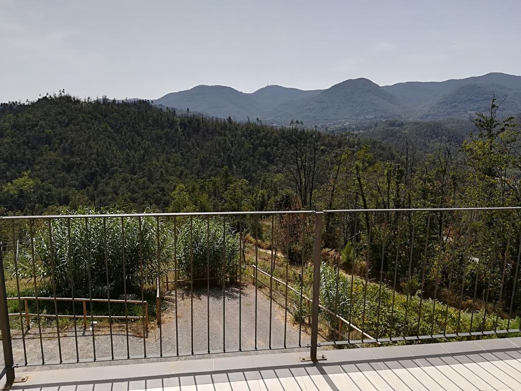 Polverara I Gelsi E I Castagniヴィラ エクステリア 写真